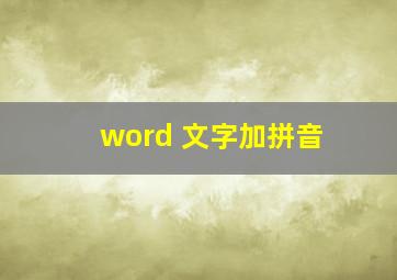 word 文字加拼音